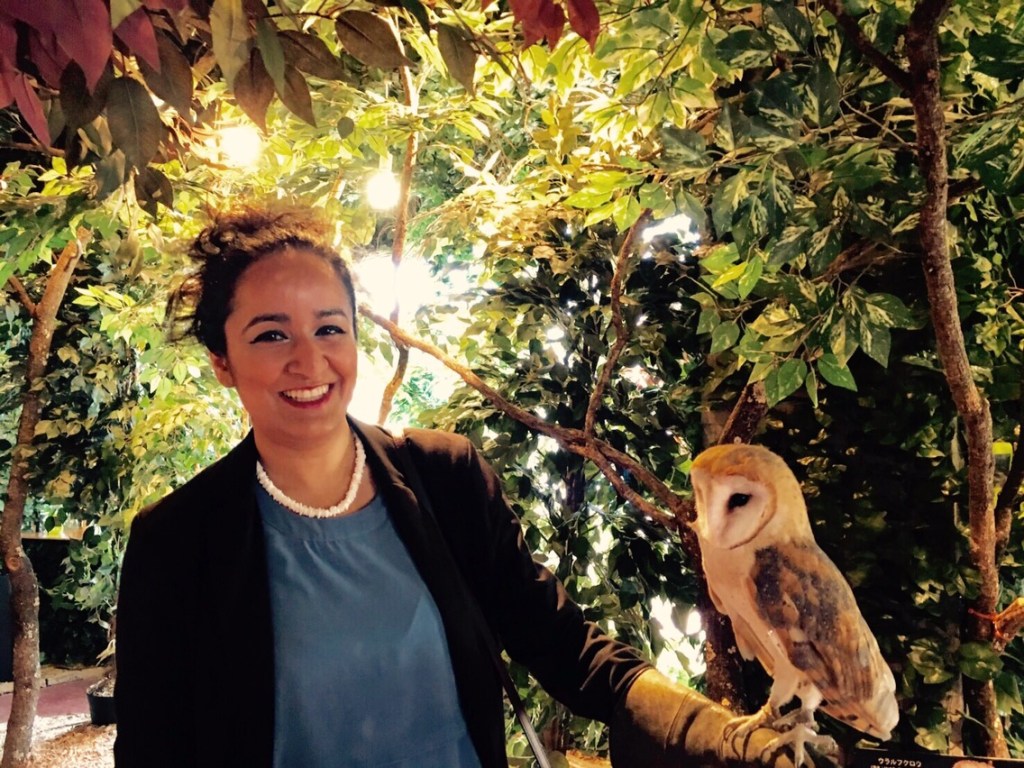 Kamakura’s Owl Forest