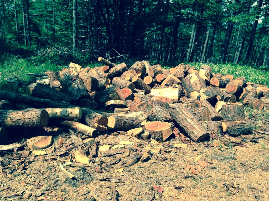 Nagano’s Nature: highlands, mountains and wild deer