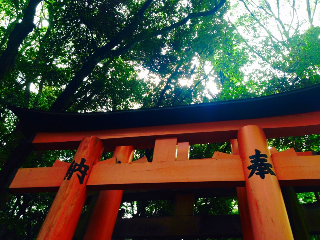 Kansai Area Highlights: Fushimi Inari Taisha and Cheese&nbsp;Yakisoba