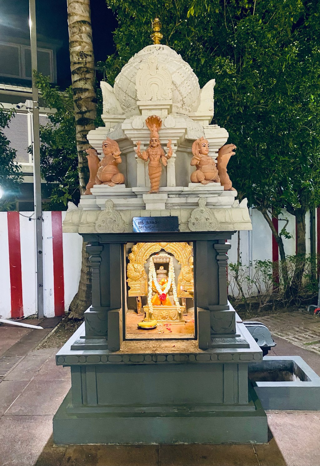 The Sacred Serpent: Understanding the Worship of Nagathampiran