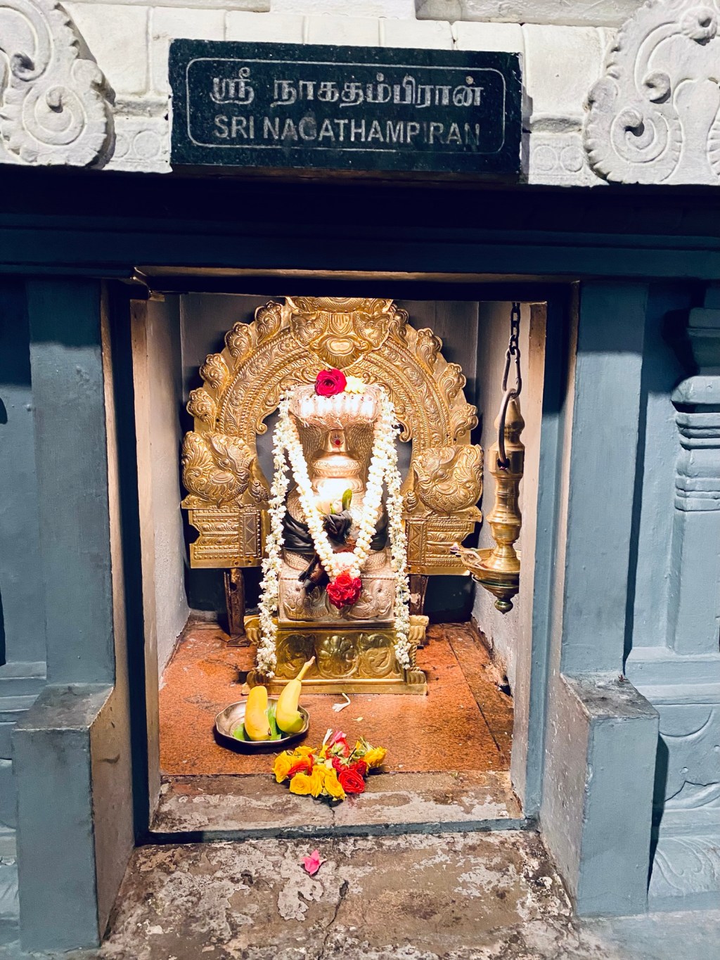 Naga Dosham | The Cosmic&nbsp;Alignment