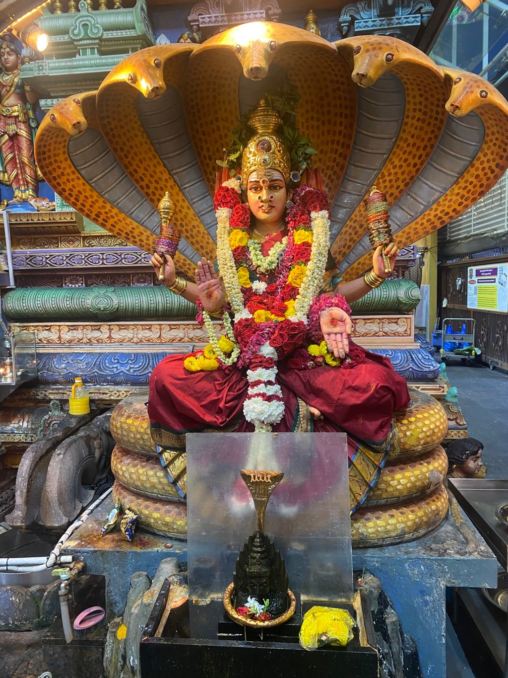 The Serpent’s Grace | The Metaphysics of Abishekam at the Nageshwari Shrine